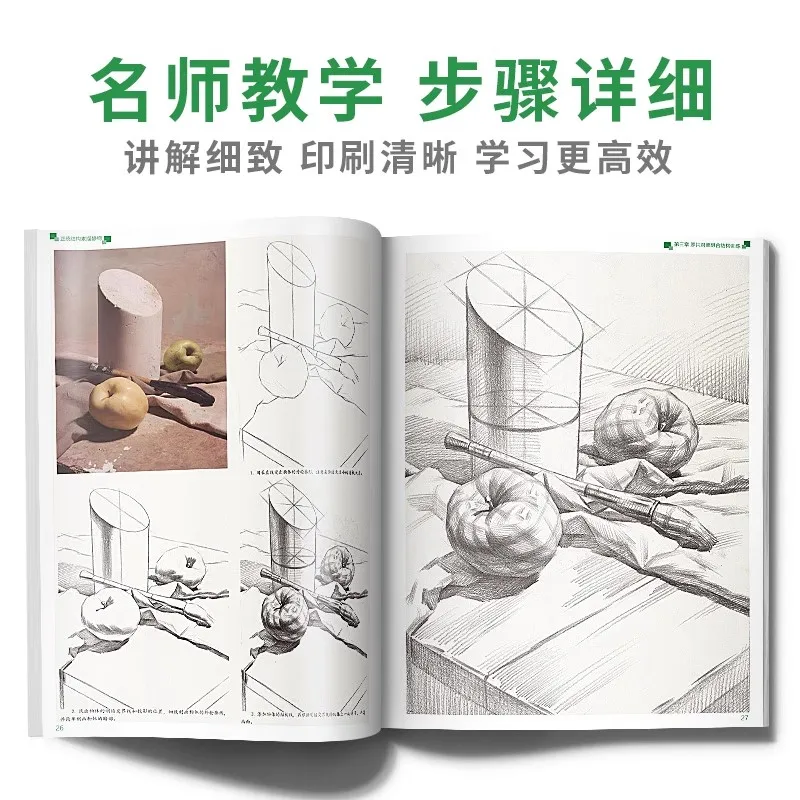 Structural Sketch Still Life Drawing Book, Orthodox Sketch Tutorial, From Structure to Chiaroscuro, Art Exam Practice Reference