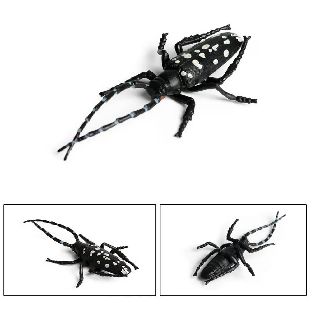 

Realistic Insect Animals Model Wild Insect Science Beetle Action Figures Education Dynastes Lifelike Insect Figurines Collection