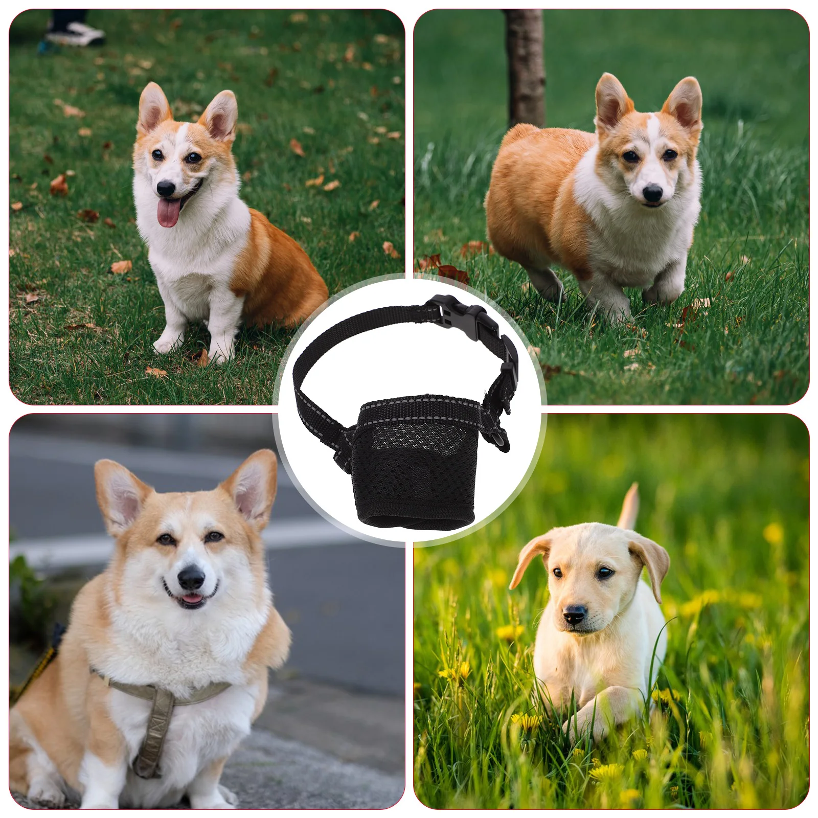 

Anti-bite Dog Muzzle Mouth Cover for Small Dogs Adjustable Black Walking Doggy Mask Breathing Net Practical Details