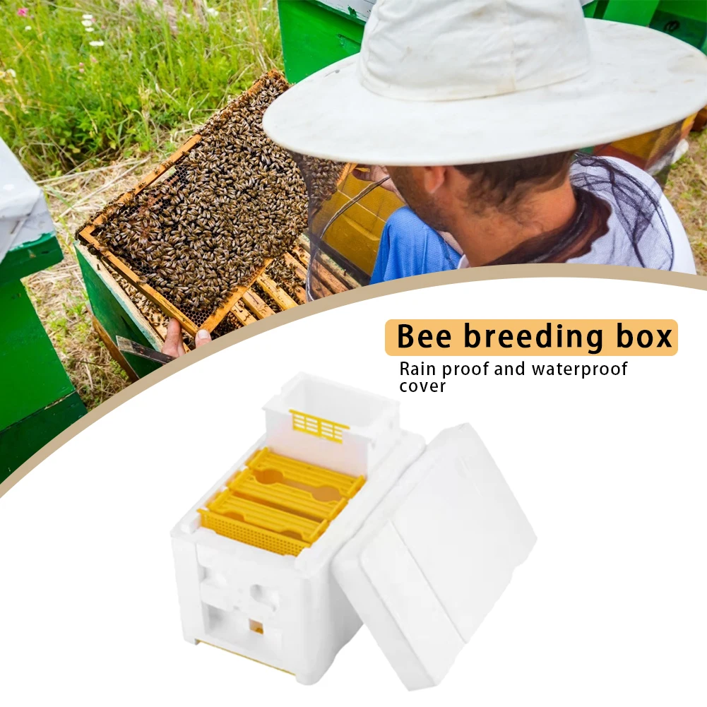 Queen Rearing Bee Breeding Box Beehive Holder Beekeeping Feeder Foam Pollination Box Bee Breeding Case Beekeeper Cage