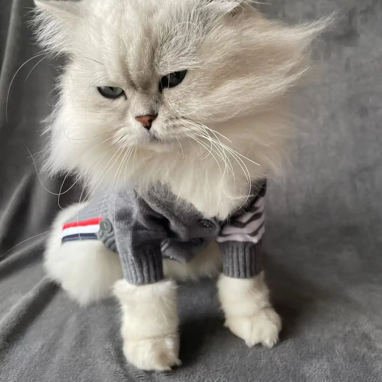 Suéter para cães de estimação, gato de pelúcia, outono e inverno, marca, cardigã de duas pernas, roupas de malha, pano para cães, produtos para animais de estimação, xiaoxiangfeng