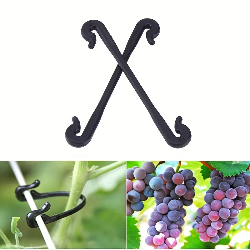 50/100Pcs Kiwi Grape Branch Tying Clips Hooks Tying Machine Branch Clips Wire Grape Sapling Branch Tying Straps