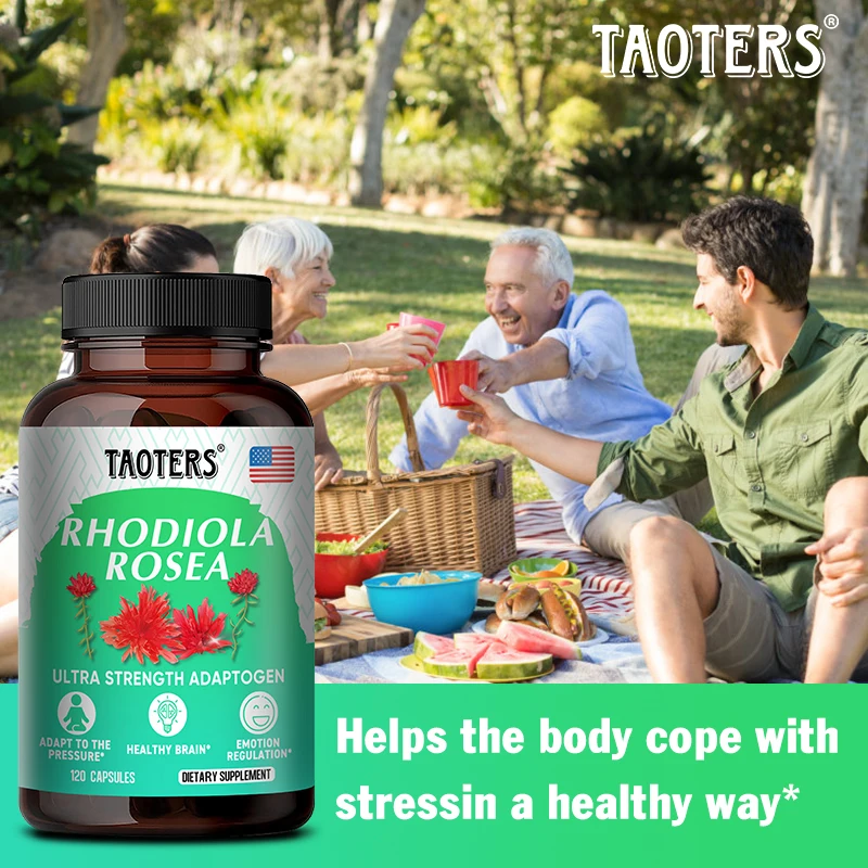 Taoters Capsule di integratore naturale di Rhodiola Rosea-1000 mg, con foglia di ginkgo, migliorano l'energia pura, supporto per il cervello e l'umore - Non OGM
