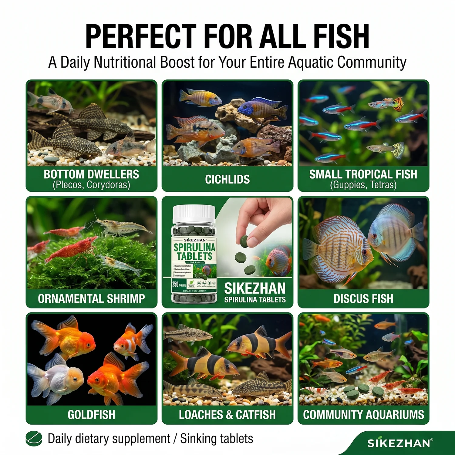 3 ขวดเม็ดสาหร่ายสไปรูลิน่าอาหา - Aquarium Plant Vitamins บทวิจารณ์และราคา