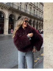 Female Turndown Collar Thick Warm Fur Outerwear 2024 Winter Faux Fur Coat Ladies Casual Slim Long Sleeve Coats New Winter Coat