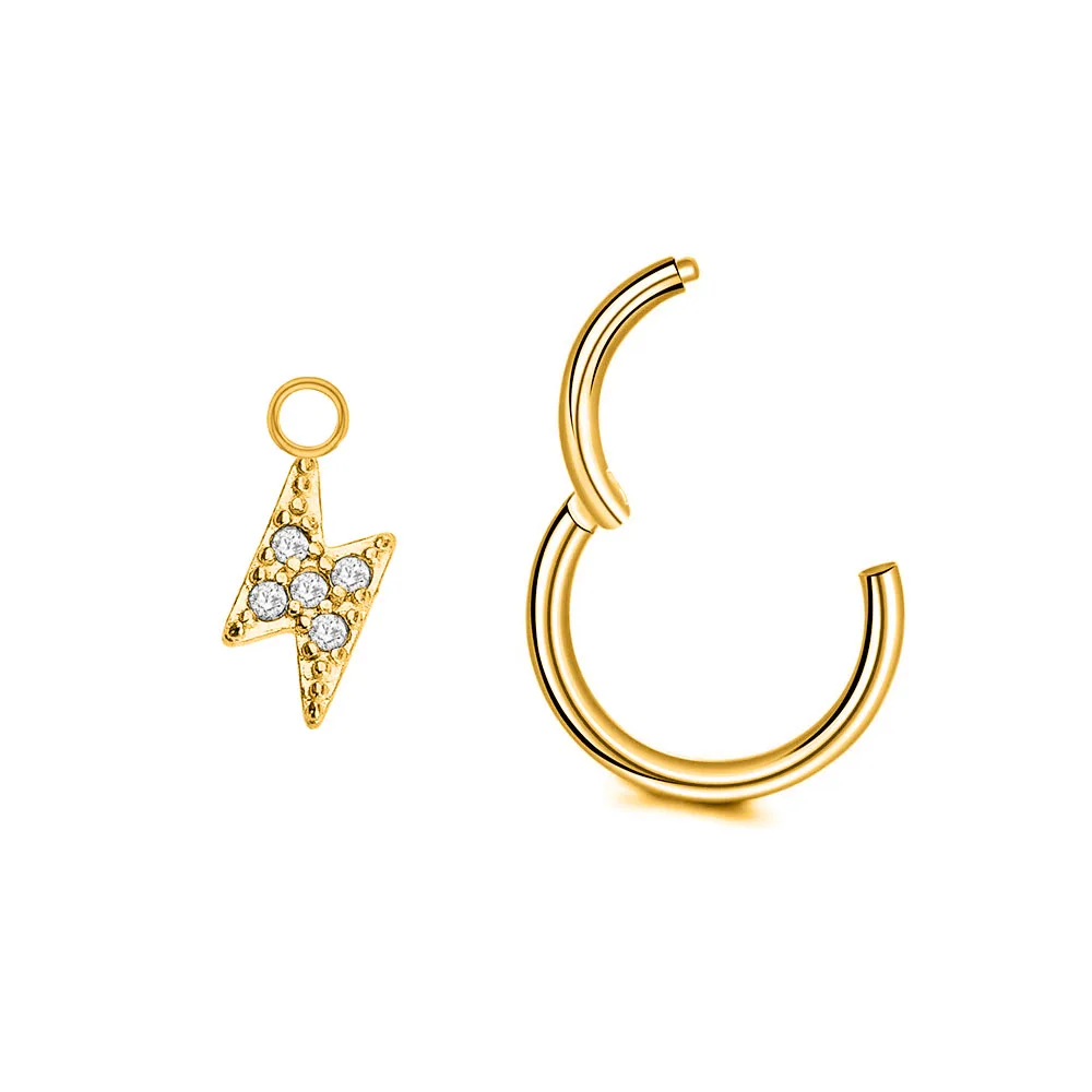 Flower Moon Cross Lightning Hoop Earring Teardrop Drop Daith Conch Clicker Segment Rings Marquise CZ Rook Jewelry 16G 18G 20G
