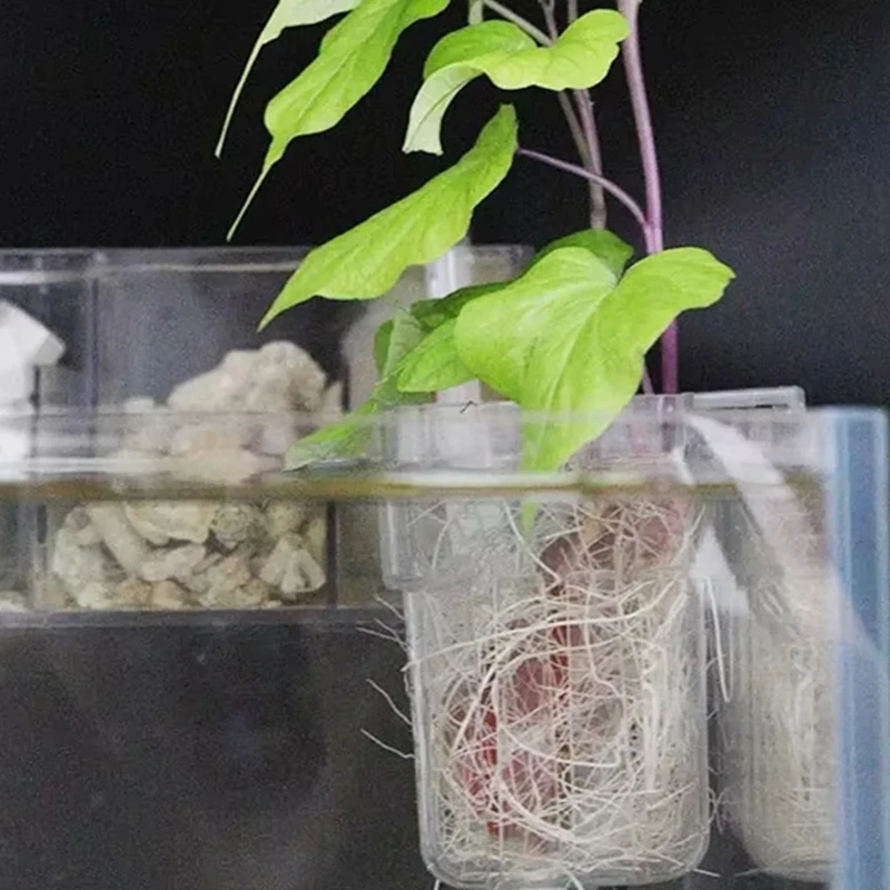 

Aquarium Hydroponic Planting Basket, Aquarium Plant Rack, Aquatic Plant Root Growth Container, Fish Tank Water Purification Tool