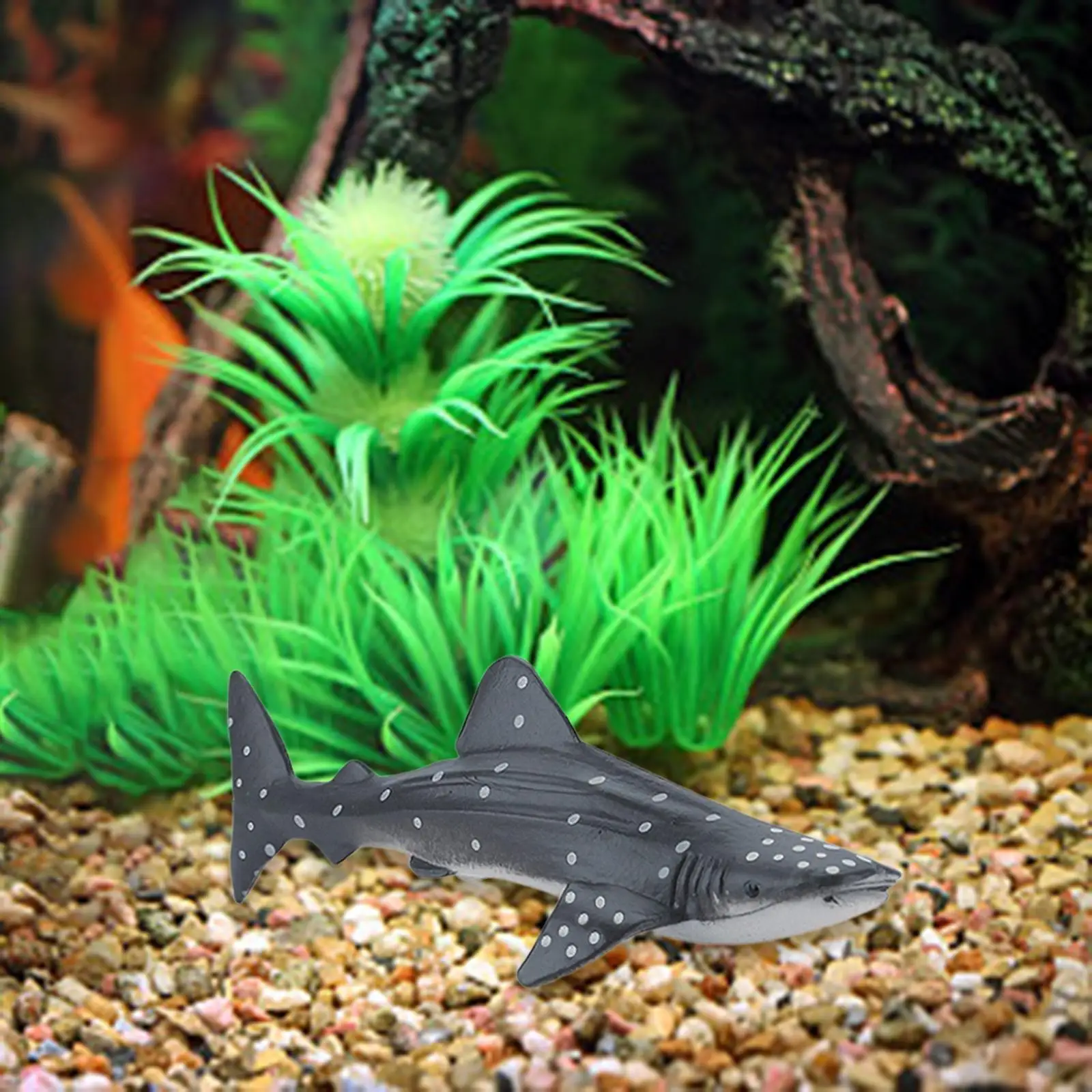 6x الحوت تمثال واقعية مفصلة عمل الشكل الحرف البلاستيكية نموذج ديكور المنزل ألعاب تعليمية مبكرة للفتيات الفتيان سن 3 + أطفال