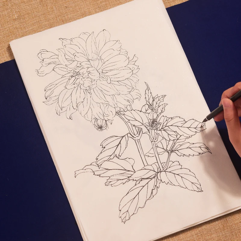 Chinese Baimiao Line Draft Plum Orchid Bamboo Meticulous Painting Copying Coloring Manuscript Ripe Xuan Paper Line Drawing Draft