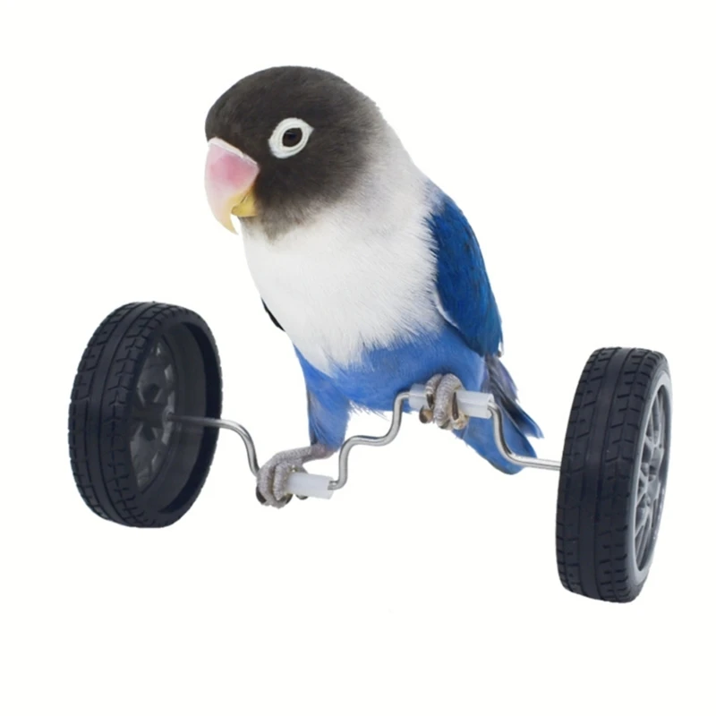 Parrot Training Balancing Bike Toy Interactive Row Roller Bird Cage Toy Cockatiels Training Birds Cage Sports Supplies