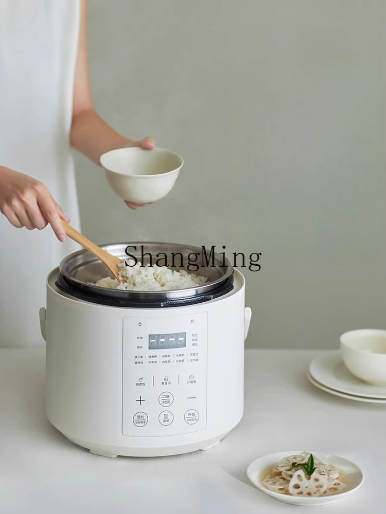 ZYY pentola a pressione elettrica istantanea non rivestita piccola mini pentola a pressione da 2 litri per uso domestico