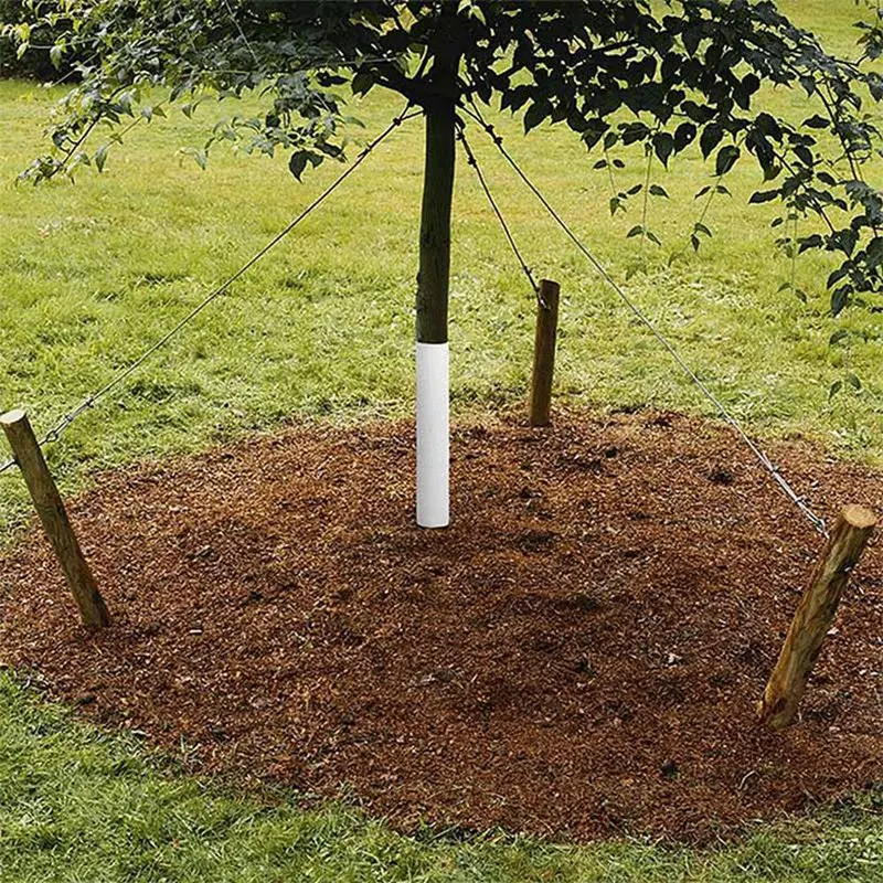 Protecteur de tronc d'arbre en spirale en plastique blanc, 6 pièces, rond pour protéger les plantes d'arbres des cerfs, des rongeurs, des tondeuses