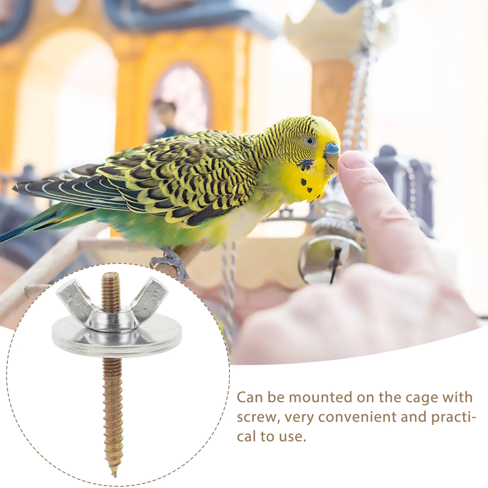 10 مجموعة 10 مجموعات الطيور محطة الرف الملحقات المسمار غسالات الجوز قفص جثم تحديد الأجهزة قفص العصافير حامل قضيب جبل