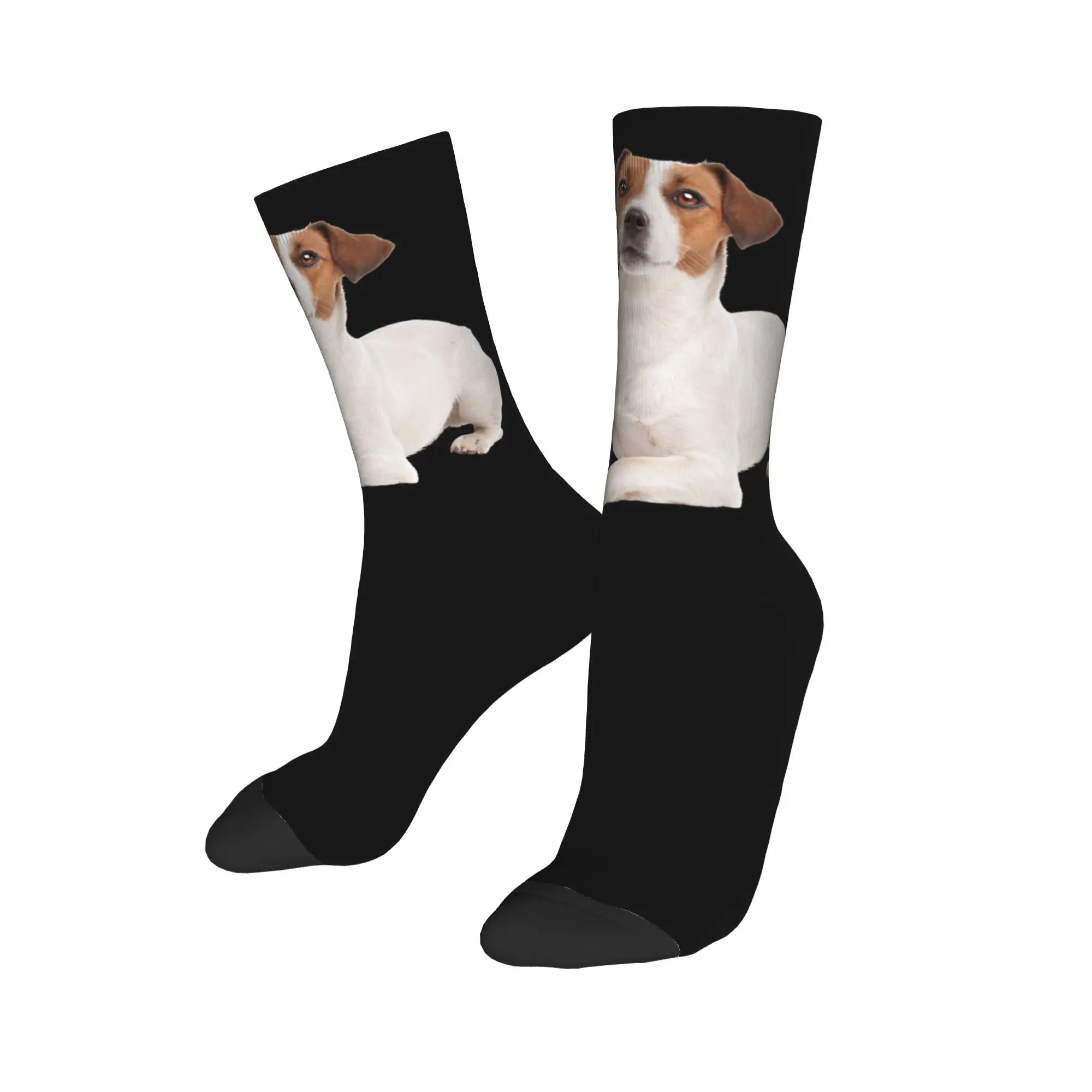 Custom Jack Russell Terrier Dog Mens Crew Socks Unisex Funny 3D Printing  Dress Socks view 3