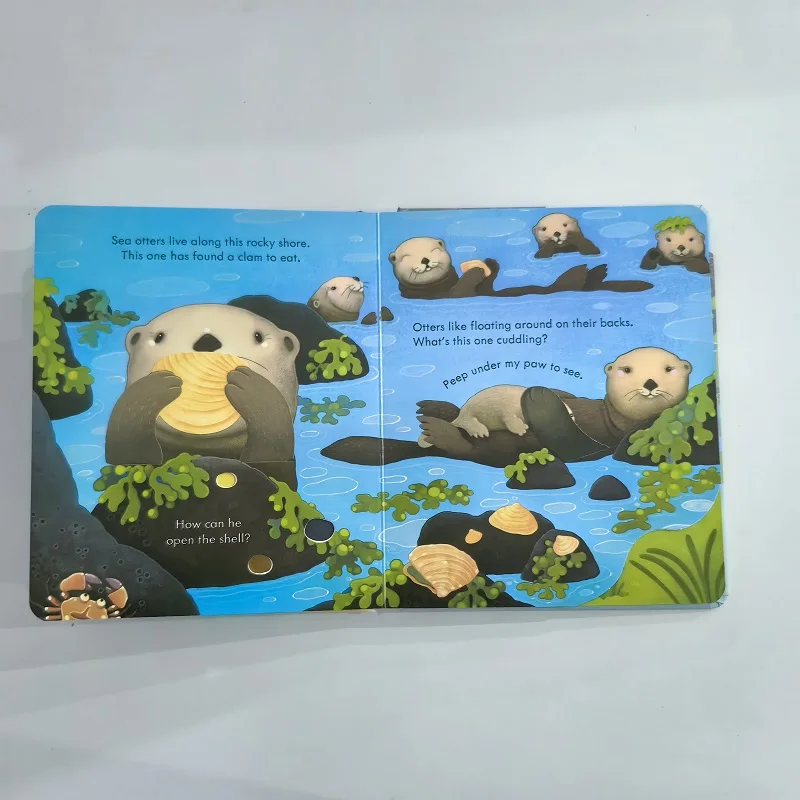Usborne Peep Inside The Sea shore English Learning Flap Picture Book Educational 3D Flap Picture Books Children Reading Book