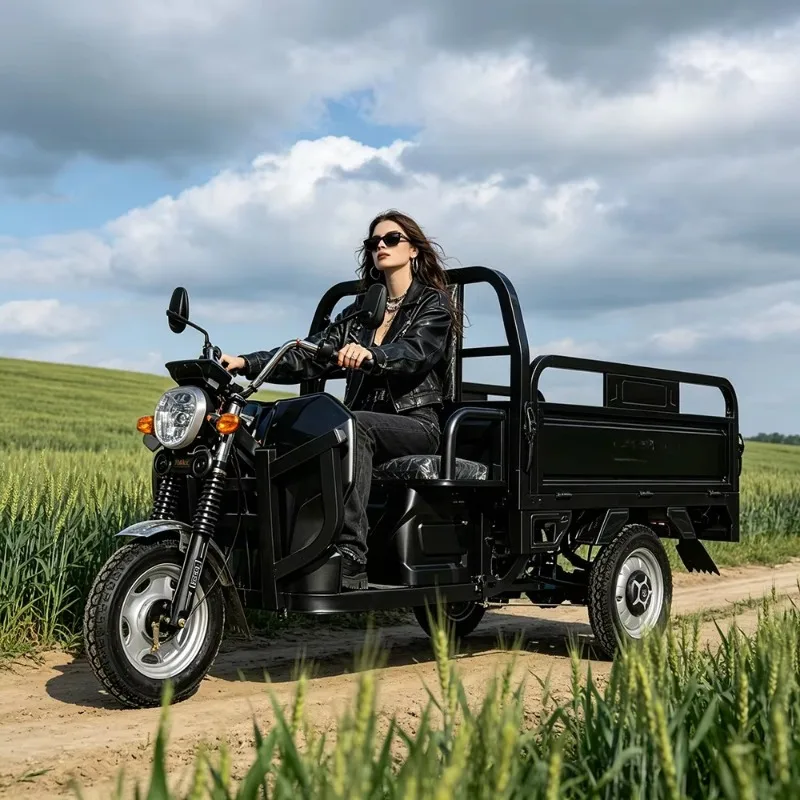 Factory Wholesale Cargo tricycle Three Wheeled Cheap Mini 60V 2000W Scooter 3 Wheel Passenger Electric Tricycles For Adults