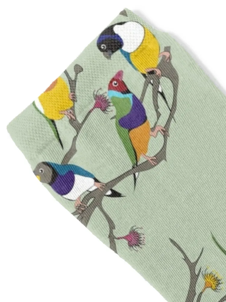 Australian Gouldian (Rainbow) Finches Socks