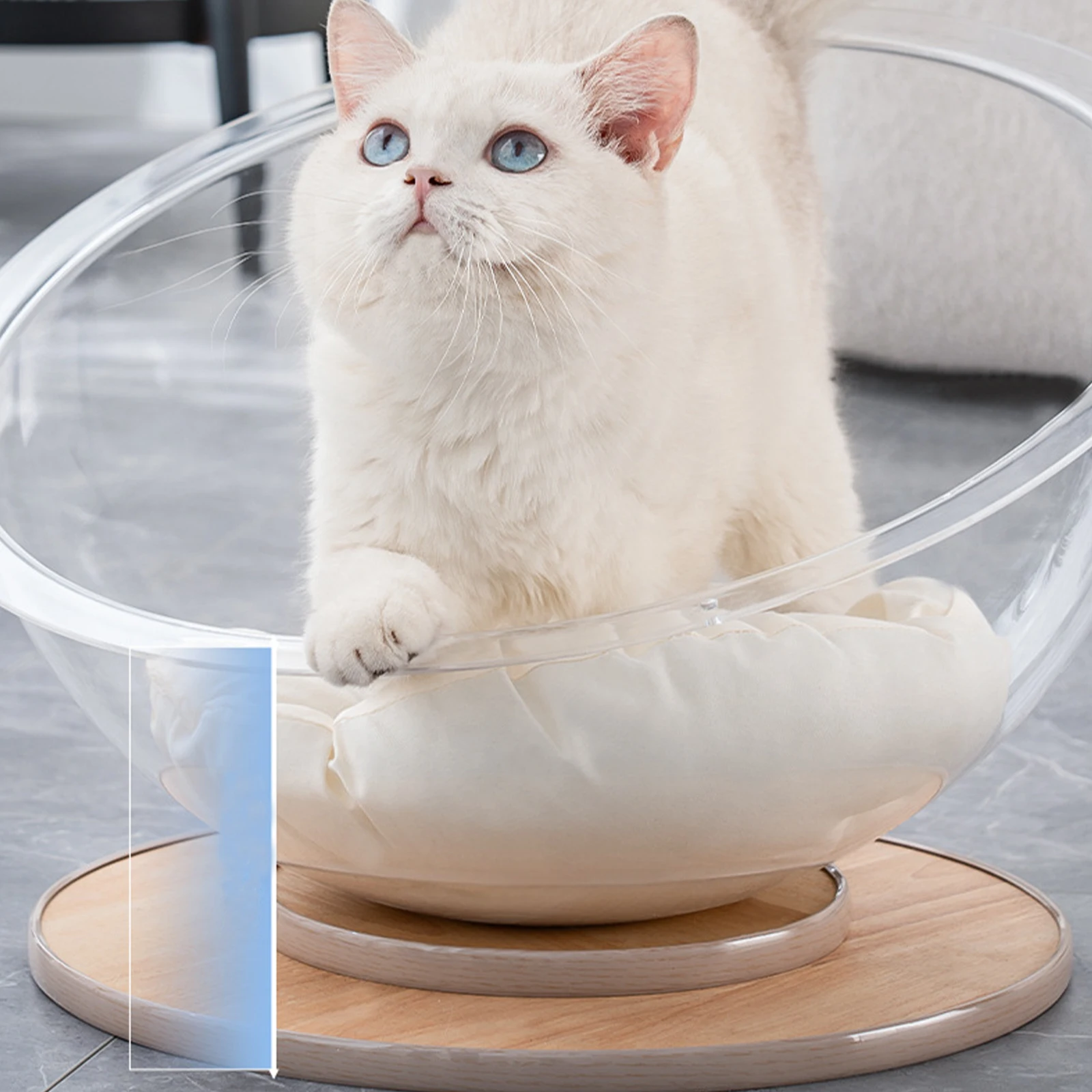 Space Capsule Cat Bed Sleeping Nest Transparent Cat House All Season Activity Center Universal Solid Wood Stand Kittens Hammock