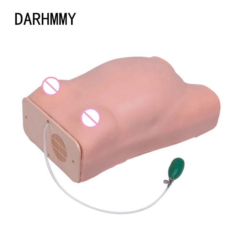 

DARHMMY pregnant woman examination model gynecological examination mold pregnancy examination model examiner