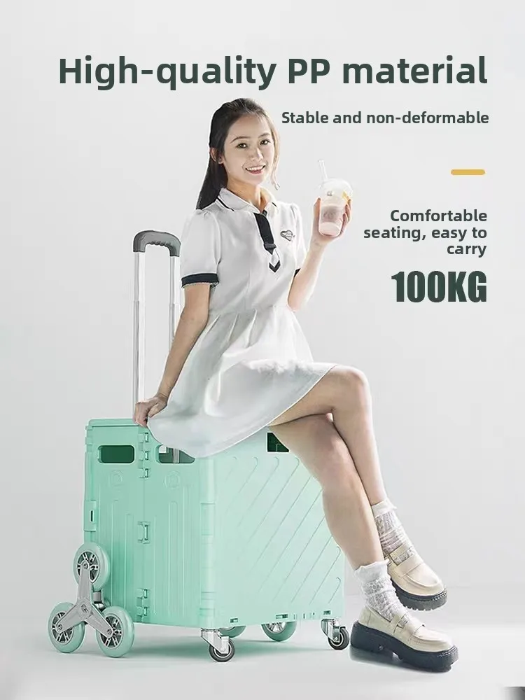 carrello-portatile-per-la-spesa-carrello-a-mano-piccolo-con-asta-in-lega-di-alluminio-e-corpo-in-plastica-per-uso-domestico