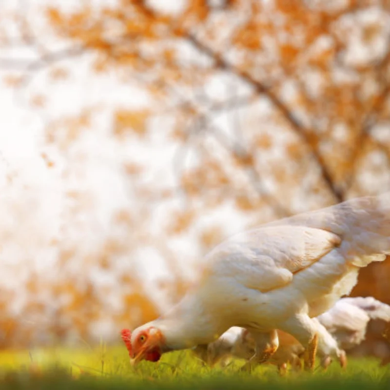 

1,3-дюймовые алюминиевые колеса с замком и комплект шин для радиоуправляемых гусеничных машин 1/24 с усилителем UDIRC UCX24
