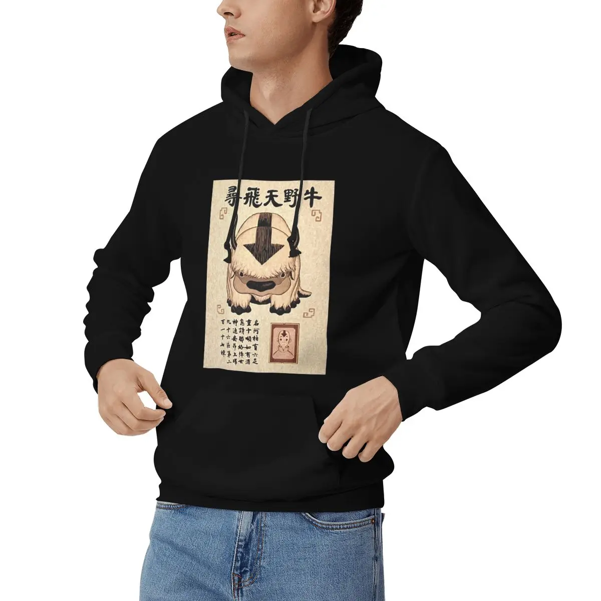 Avatar The Last Airbender Lost Appa Poster Hoodies Men's Women Pullover Sweatshirt Fashion Long Sleeve Clothing Autumn Winter