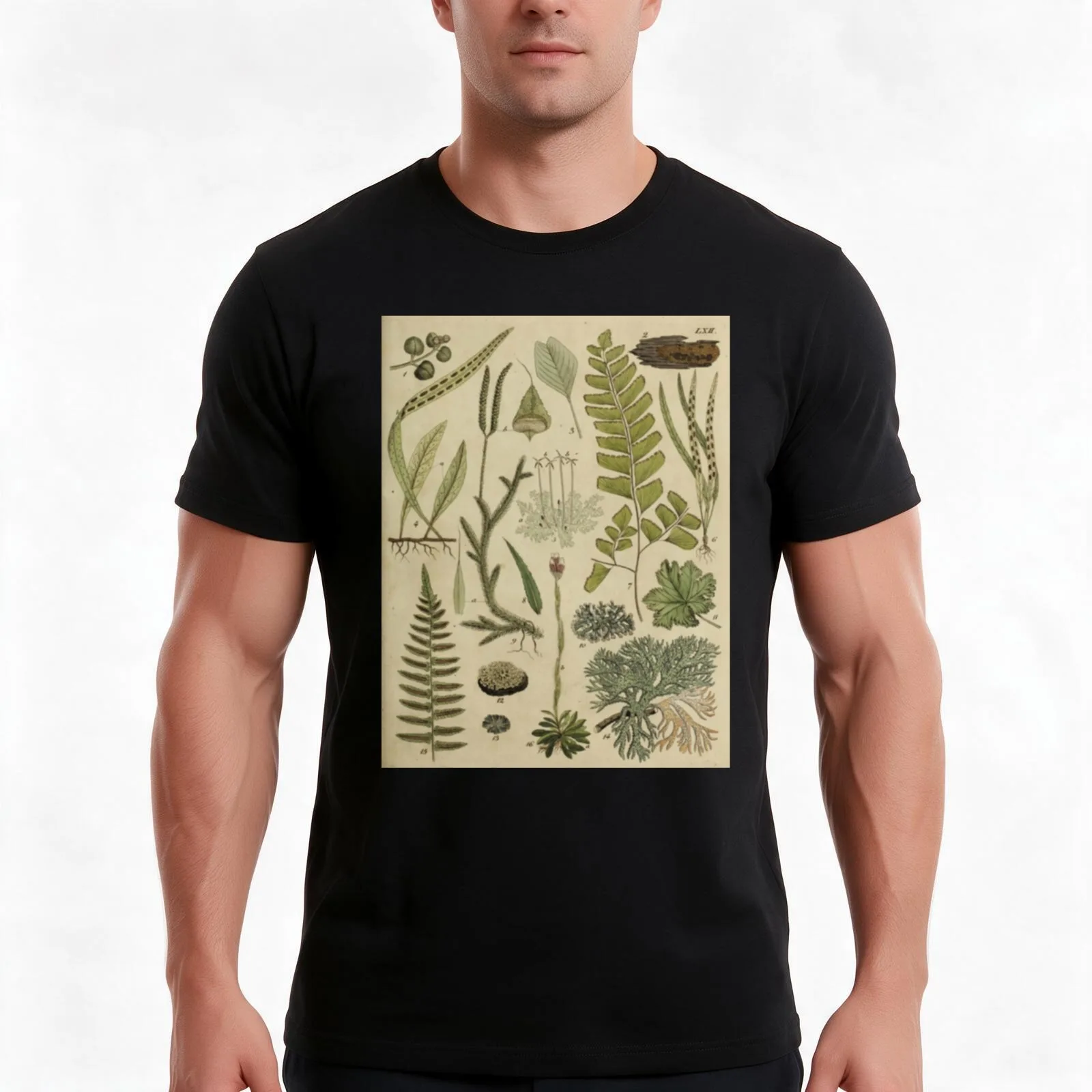 Ferns And Lichen T-Shirt Summer Casual Cotton Tee Oversized Streetwear Tops Vintage Graphic Print Loose Fit Short Sleeve