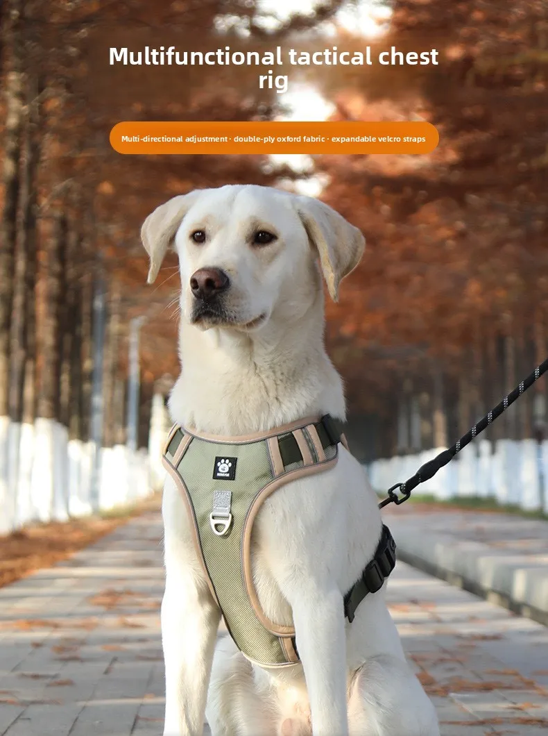 Medium and large-sized dog leashes, explosion-proof dog straps, chest and back reflective dog walking leashes, vest style