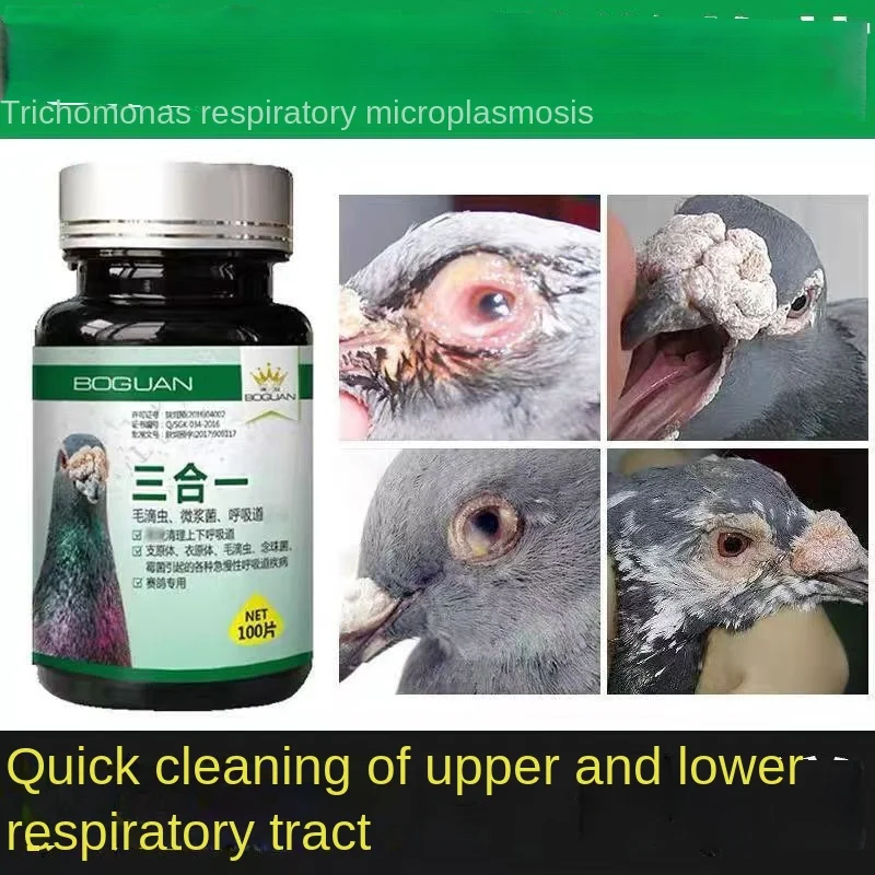 Pigeon ocellar injury chlamydia 100 pieces Trichomonas respiratory tract triad microplasma for pigeons and parrots