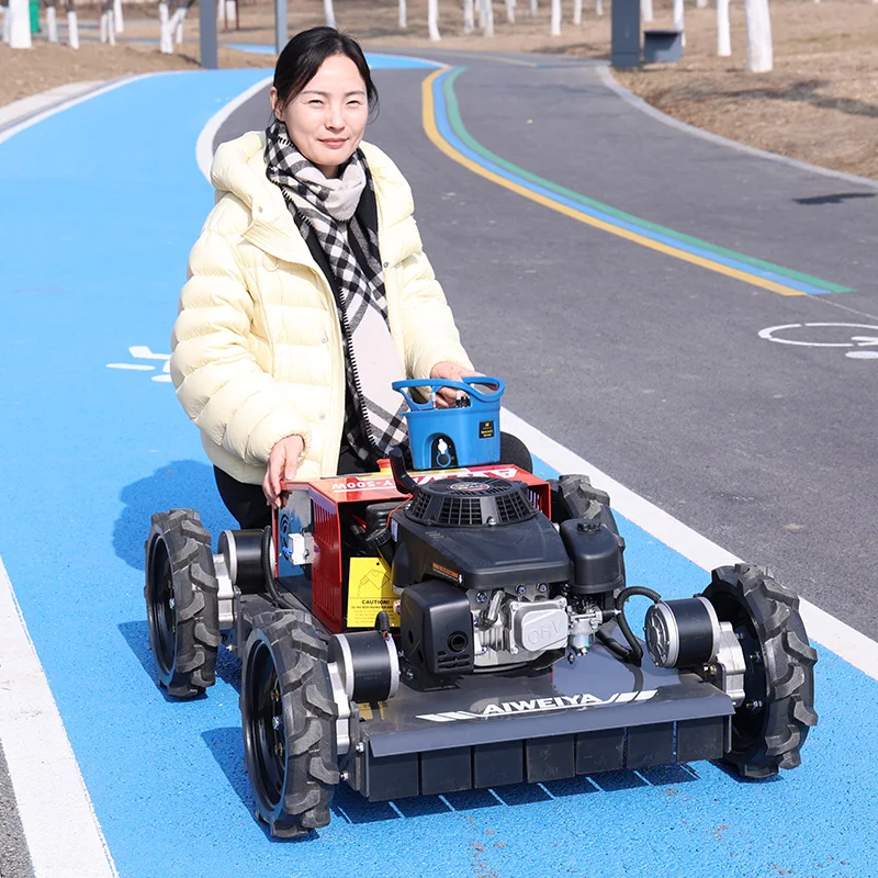 

Customized CE EPA Hot Selling DIY Industrial Small Petrol Engine Remote Control Lawn Mower with 224cc Displacement for Sale