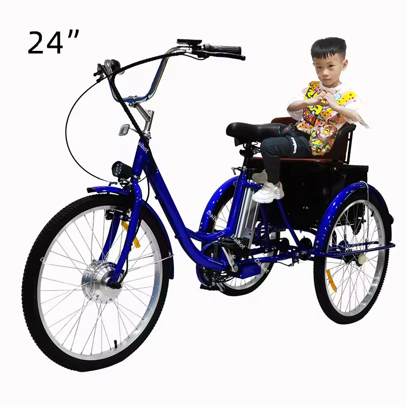 전기 삼륜차 배터리