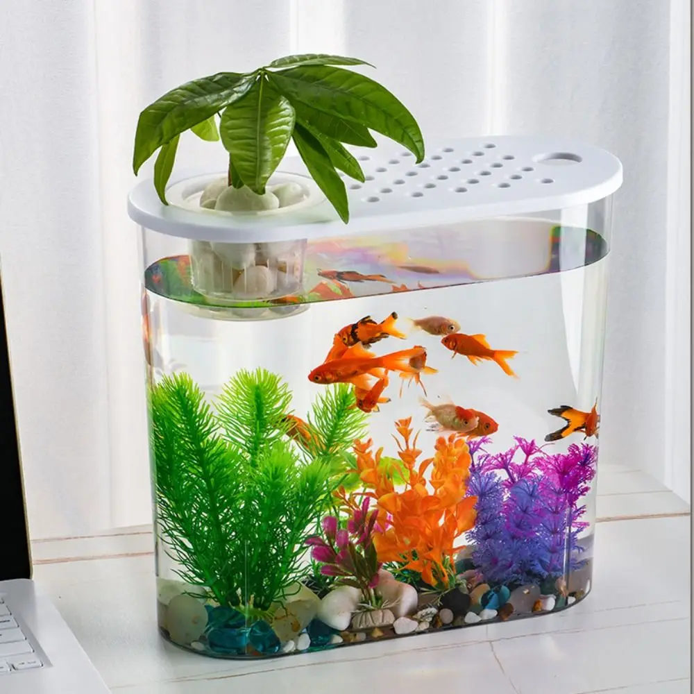 Plastic Transparent Belt Cover Oval Soil and Water Culture Fish Tank Living Room Office Desktop Small Decoration Goldfish Tank