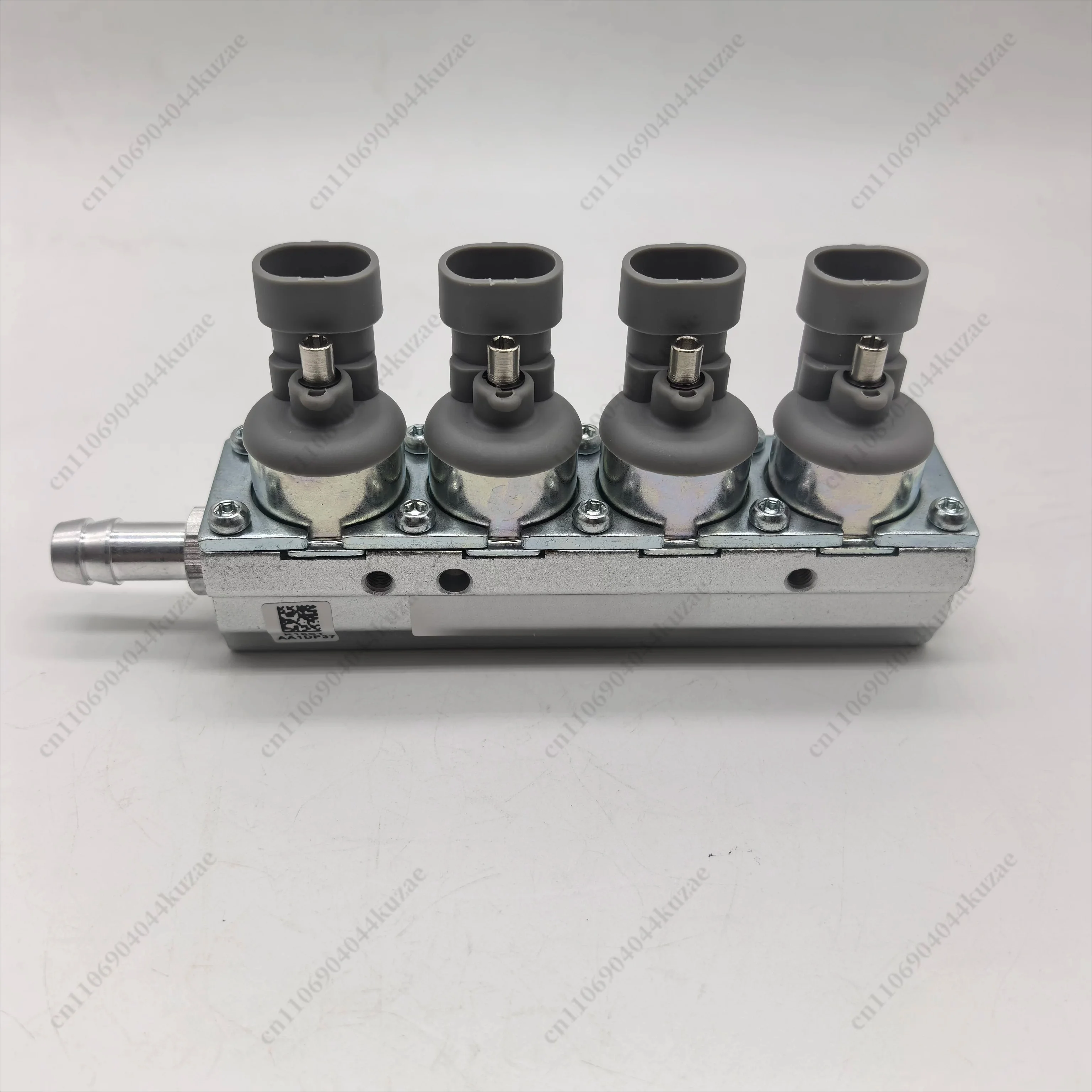 High Speed Gas Injection Rail, LPG/CNG Fuel Injection Valve with Imported Valve Core for Vehicle Fuel Conversion System
