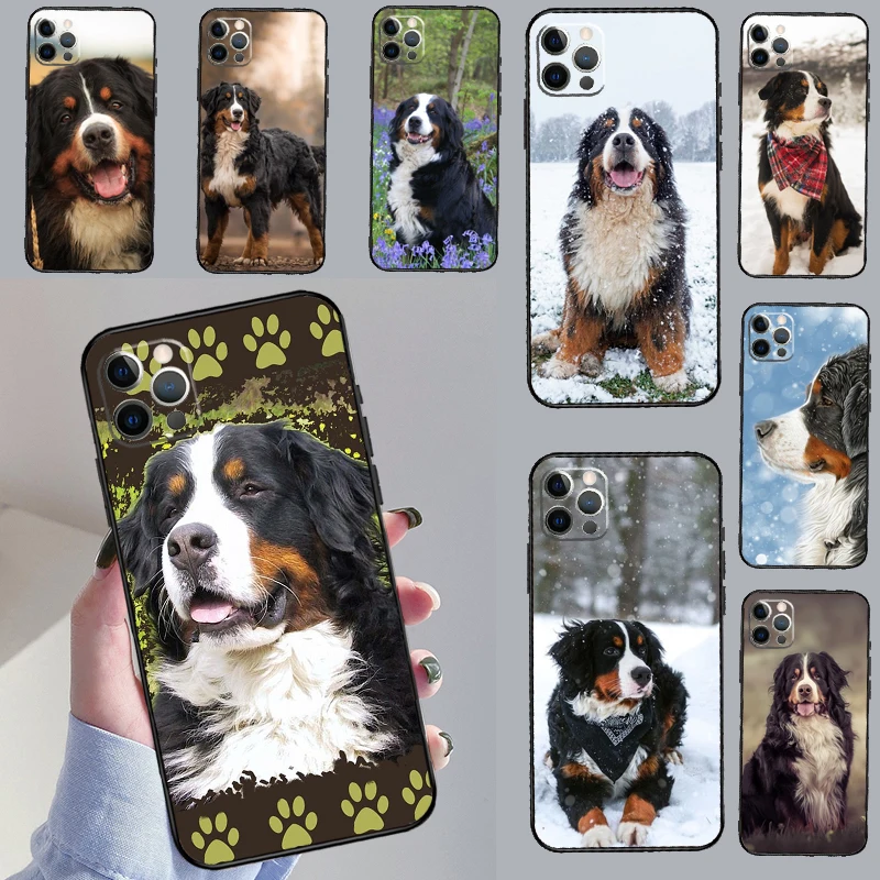 Bernese Mountain Dog Phone Case For Samsung Galaxy S26 S25 S24 S20 S21 S22 S23 Ultra S10 Plus S25 FE Cover Coque