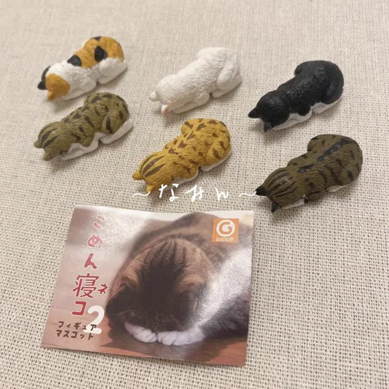 Figura de Gashapon de Japón de SHINE-G, figura de gato de Dozing Kawaii, cápsula de Anime, juguetes de regalo, decoración de escritorio