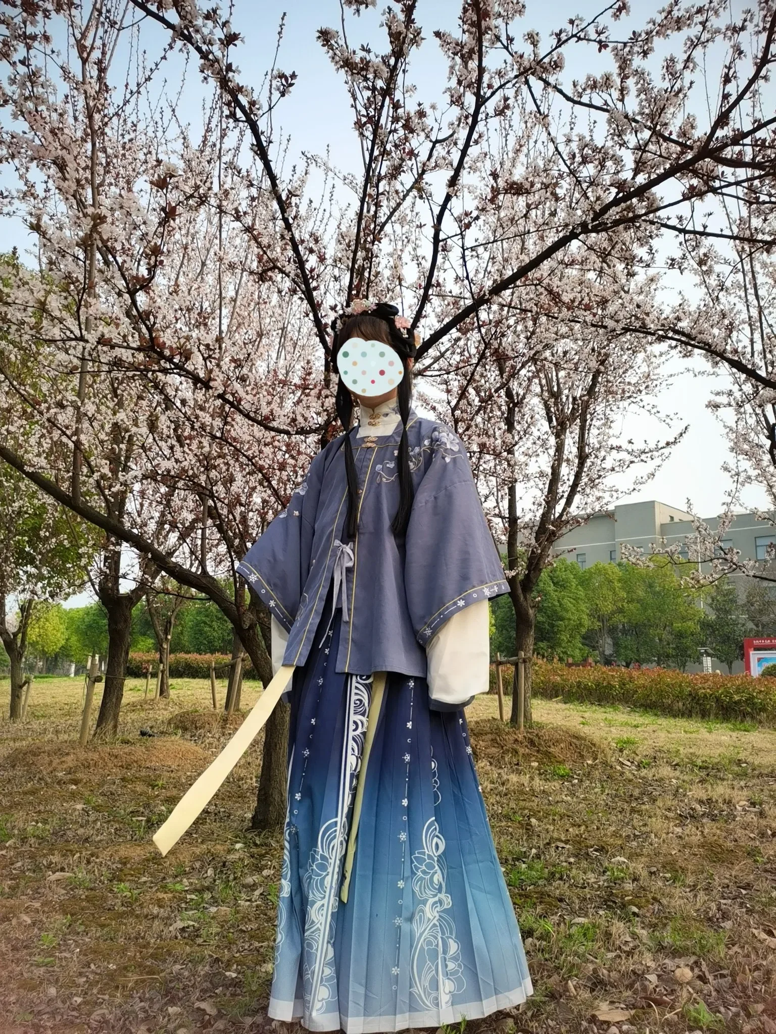 공주 중국 한푸 여성 자수 고대 의상, 플리츠 스커트, 명나라 코스프레