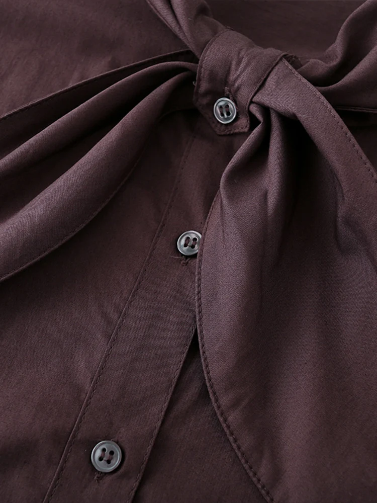 European style new women's clothing, fashionable, versatile, elegant, casual, loose-fitting long-sleeved scarf, poplin shirt.