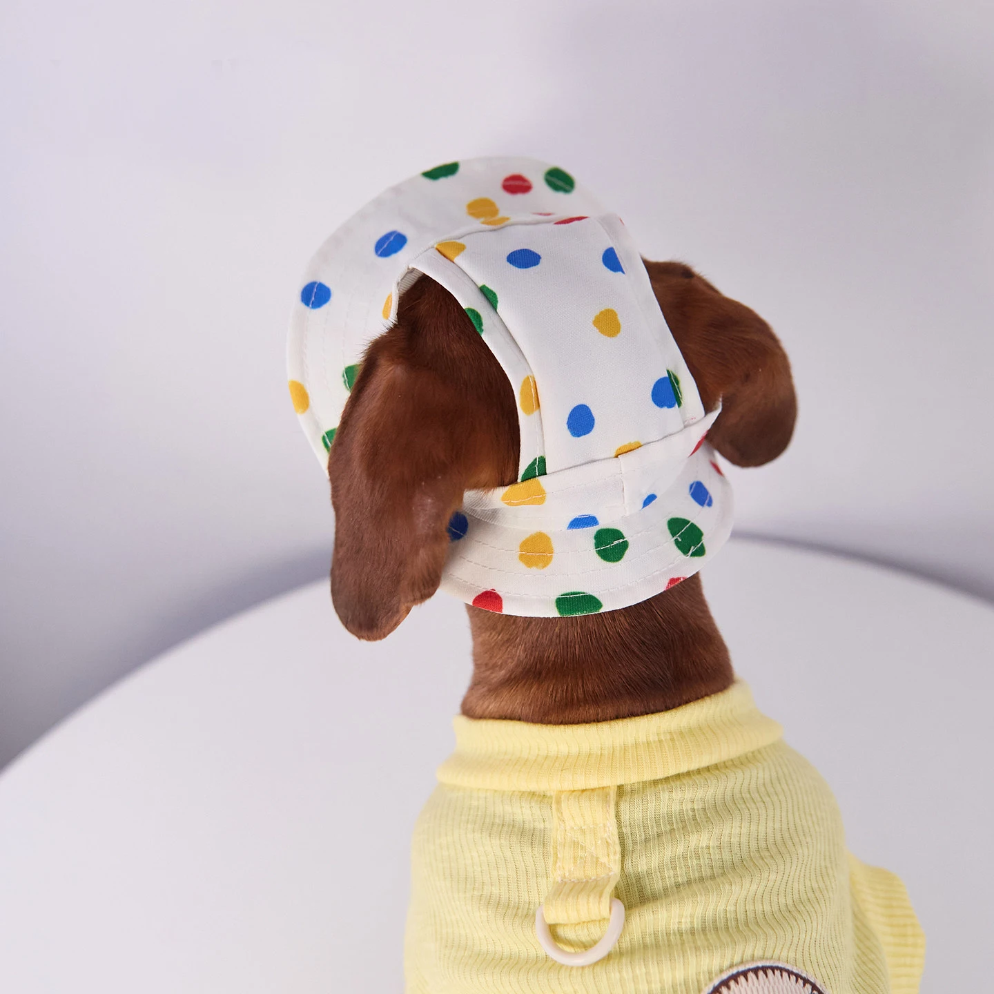Gorra verano para perros pequeños y medianos - Protección solar - imagen 5