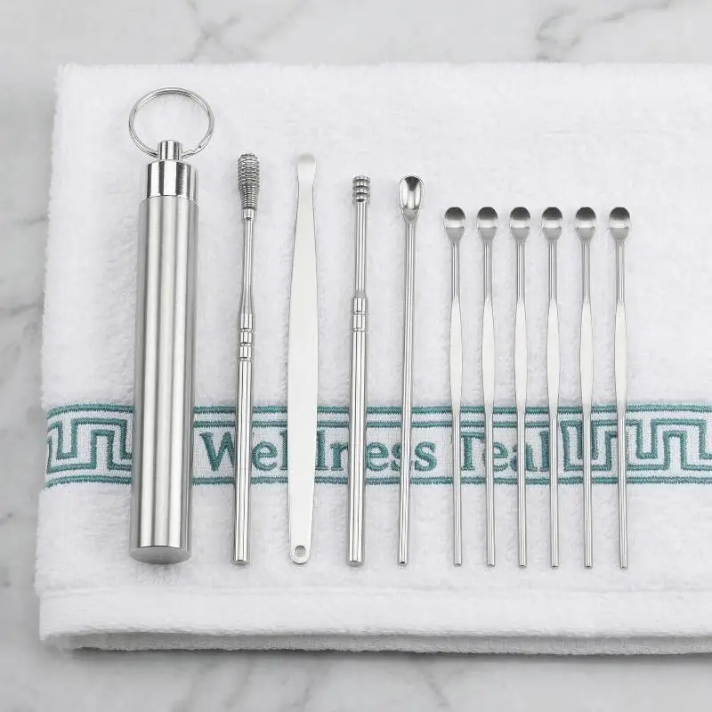 10PCS/1Set Stainless Steel Ear Cleaner 10Pcs Set Ear Wax Removal Kit for Precise and Comfortable Ear Cleaning Tasks