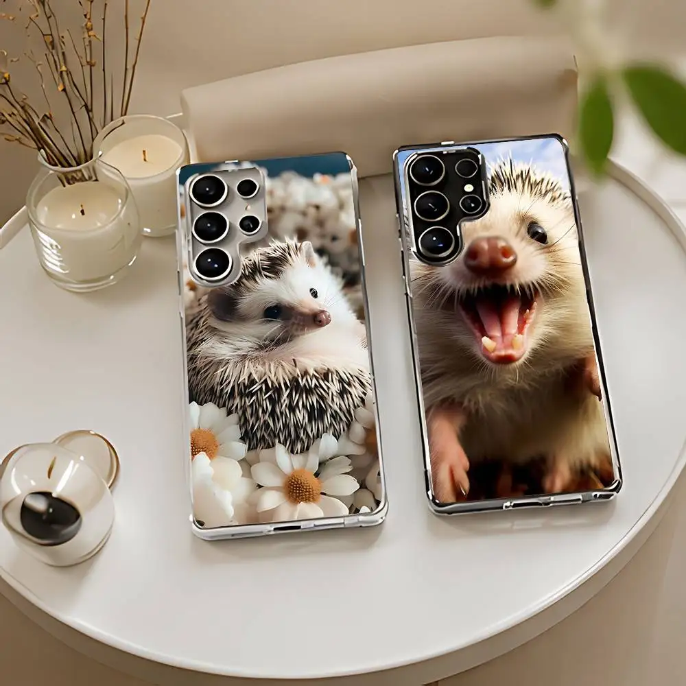 Cute Hedgehog In The Fog Silicone Phone Case For Samsung Galaxy S21 S22 S23 S24ULTRA S25ULTRA FE Ultra Plus5G A52S S26 Cover