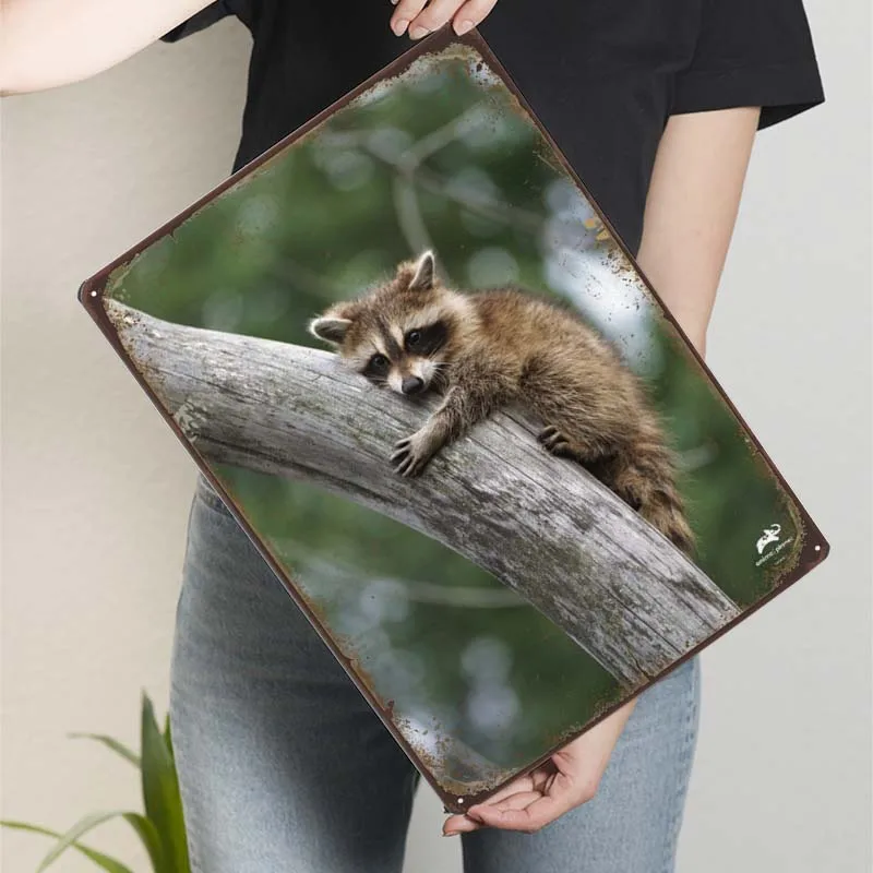 Racoon Tinplate Animal Metal Poster Coffee Bar Vintage Metal Signs for Wall Decoration Retro Wall Decor Living Room Art Mural