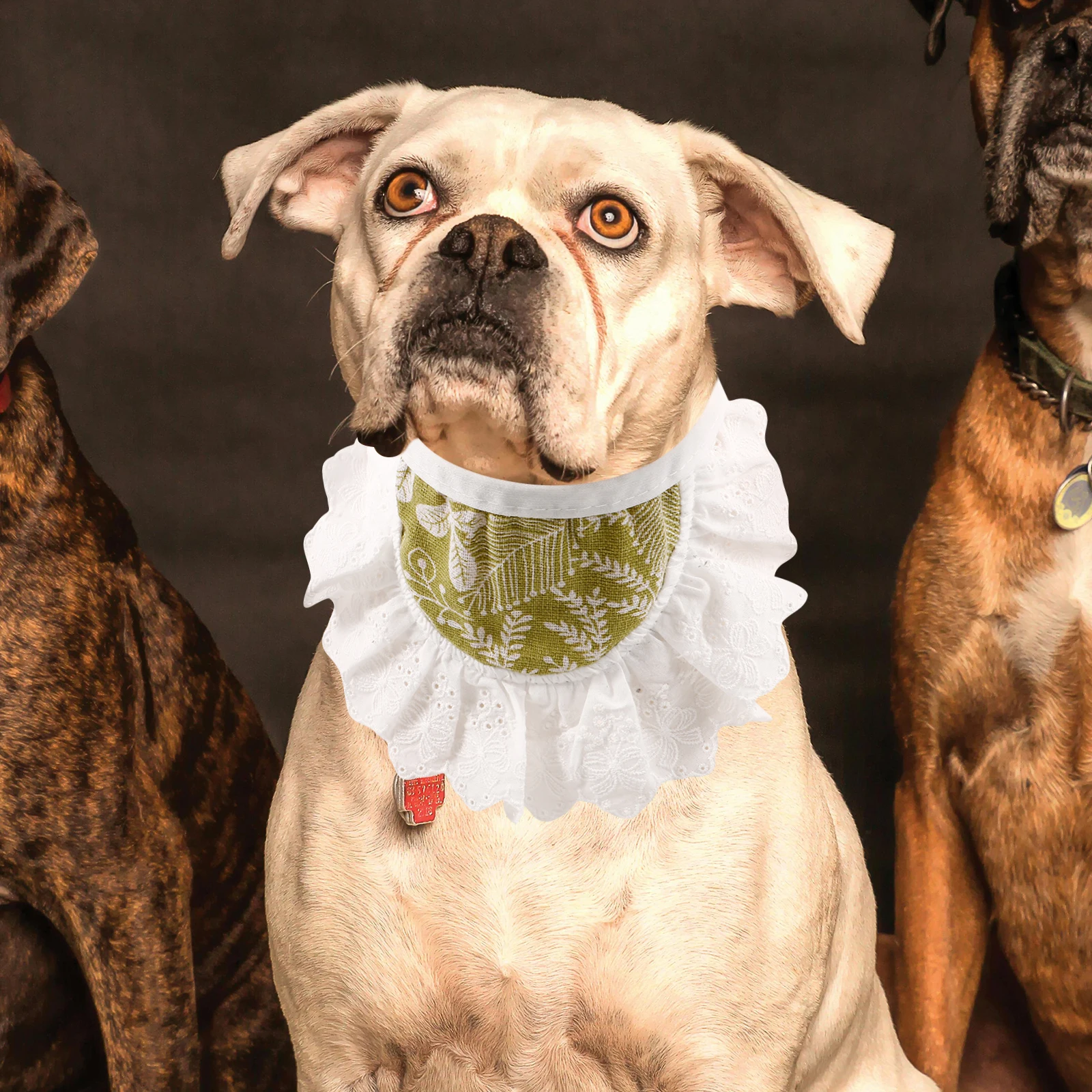 

Pet Scarf Cat Cute Dog Comfortable Decor Collar Neck Small Dogs Bibs Fashionable