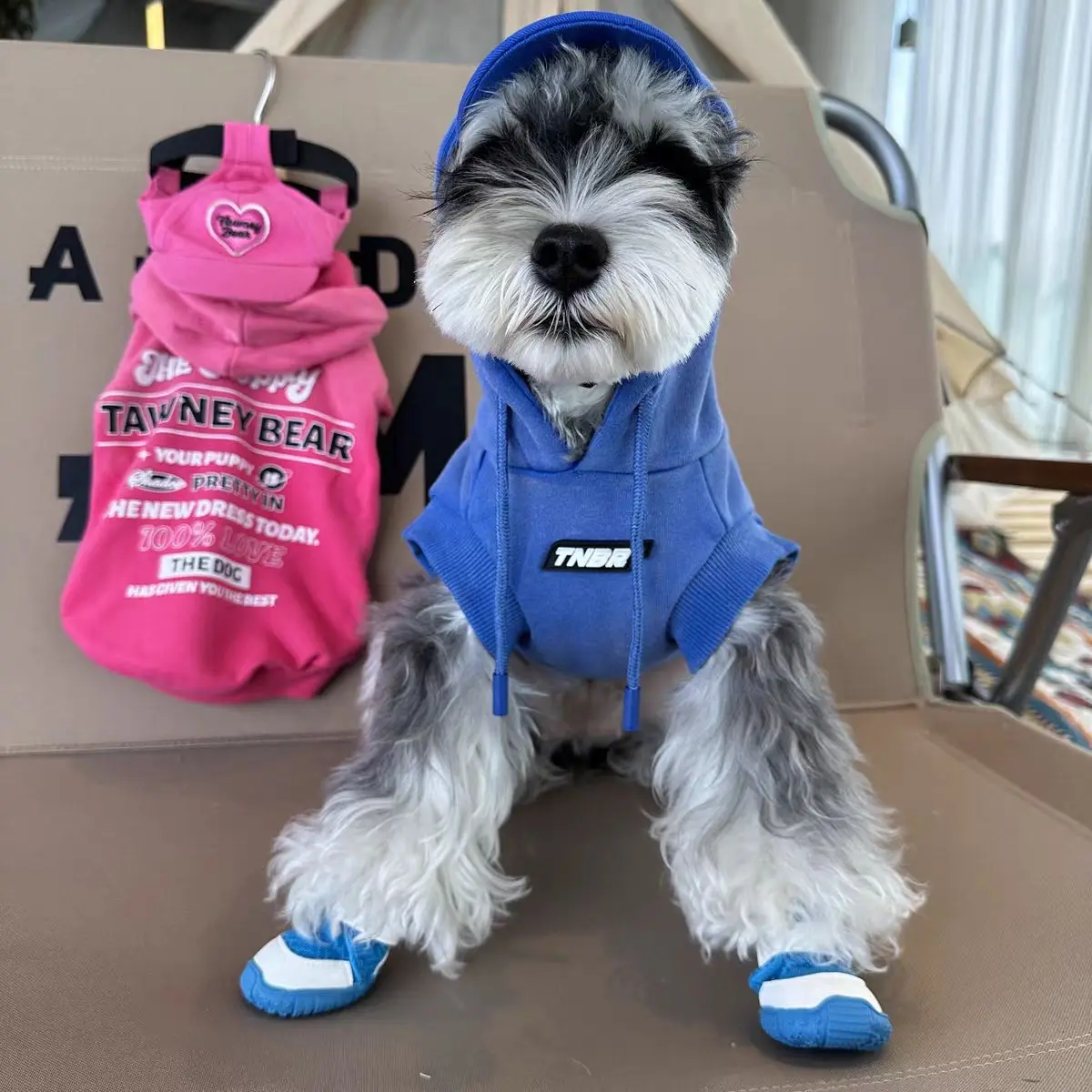 Dog Clothes Spring Autumn Schnauzer Bears Teddy Shiba Dog Printed Letter Gradient Sleeveless Pet Hoodie 강아지옷 одежда для собак