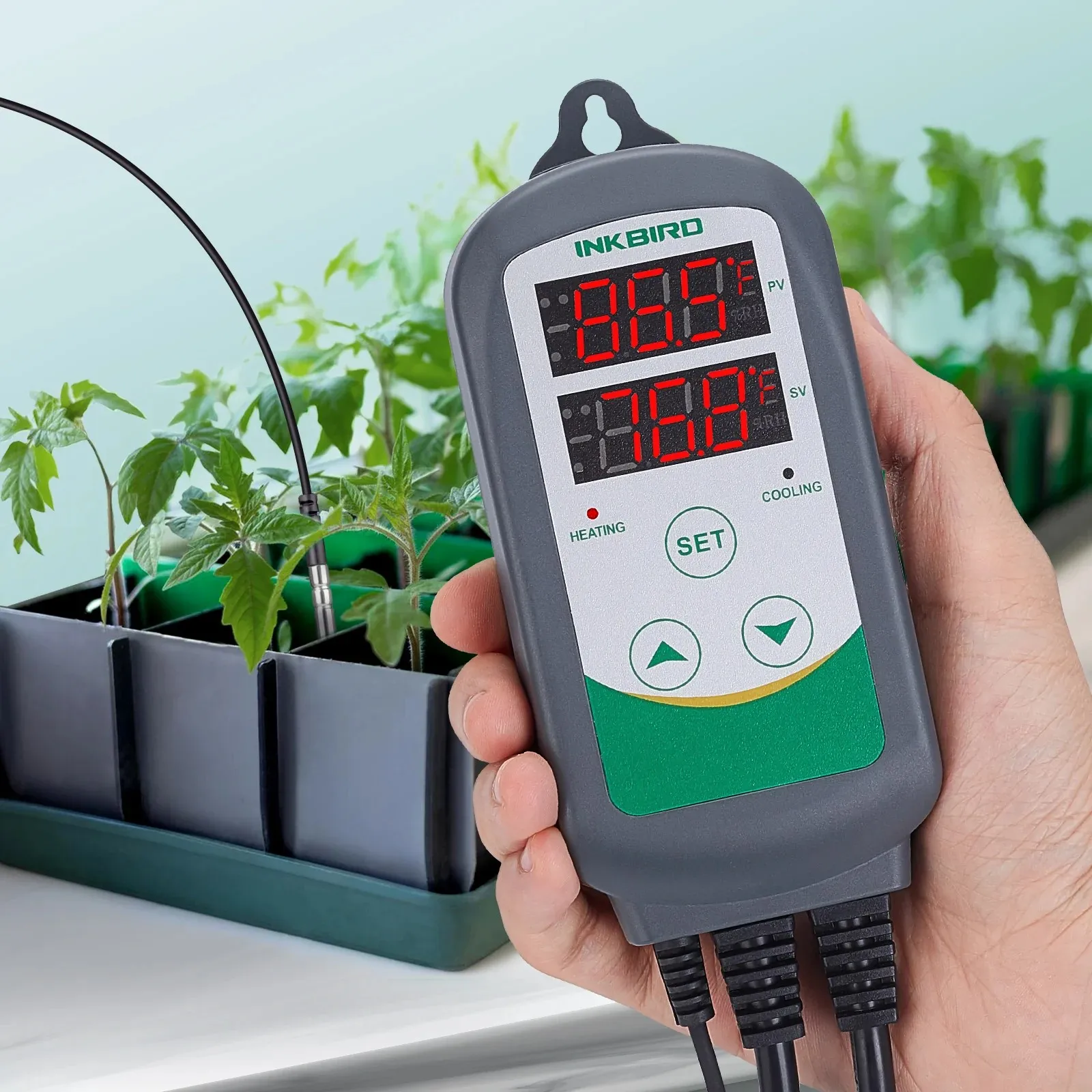 Imagem -04 - Inkbird-termorregulador Digital Aquecimento e Arrefecimento Relé Duplo Controlador de Temperatura Termostato de Saída para Carboy Fermentador