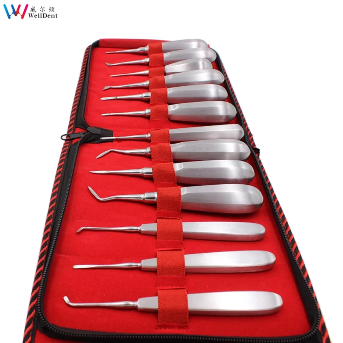 Dental aço inoxidável dente elevador, Kit de ferramentas dentista, reto e curvo, Elevador raiz, Luxating, 13 pcs/set