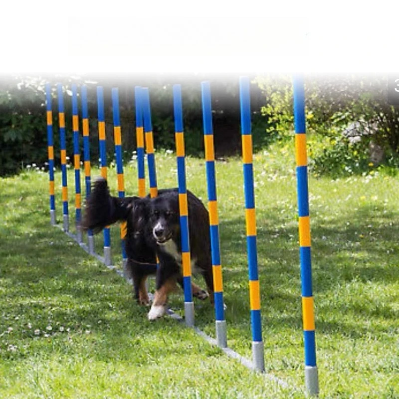 

Dog Agility Training Weave Poles Metal Obstacle Course Durable S Poles Adjustable Pet Agility Equipment Outdoor Training Gear
