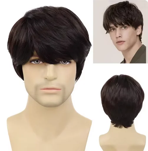 Synthetic Hair Short Wigs for Men Brown Color Male Korean Wigs with Bangs Cosplay Halloween Costume Party Wig Hairstyle