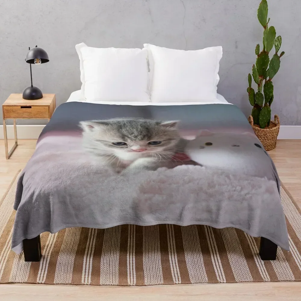 

Kitten Throw Blanket Outdoor Soft Blanket for Picnic Beach Camping