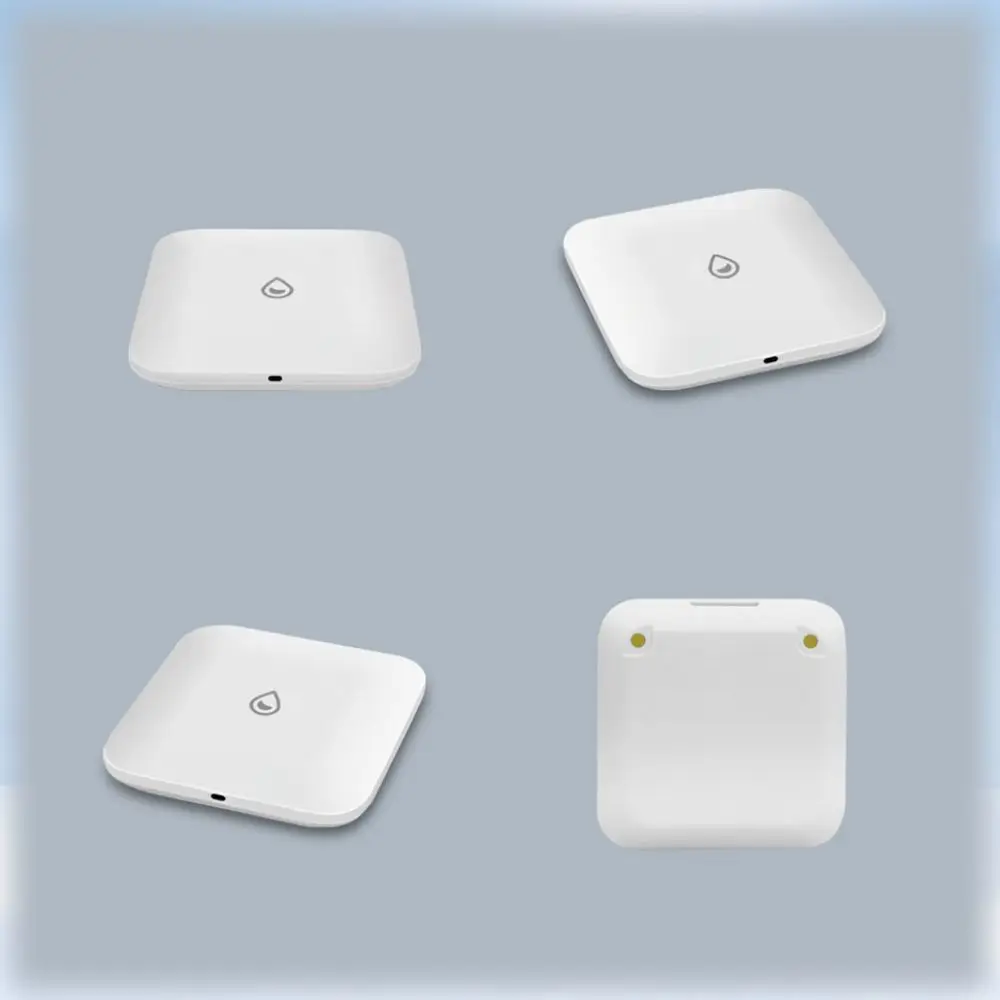 Imagem -05 - Sensor de Vazamento de Água sem Fio Smart Home Imersão Sensor Ewelink App Monitoramento Remoto Alarme de Detector de Vazamento de Água