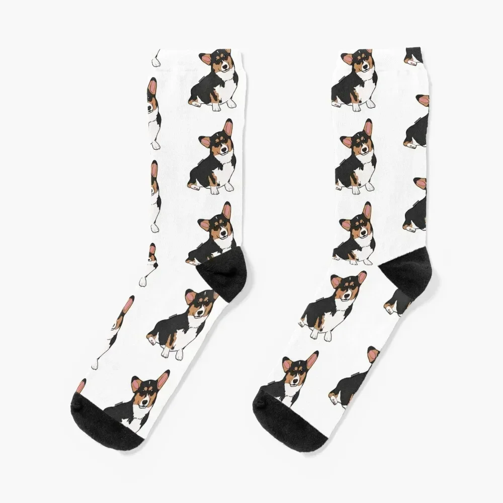 Cedric Diggory The Corgi Socks Rugby funny gift happy hip hop Man Socks Women's